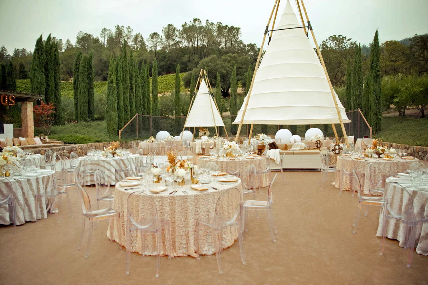 D_soiree-swan-lake-06_edit.jpg