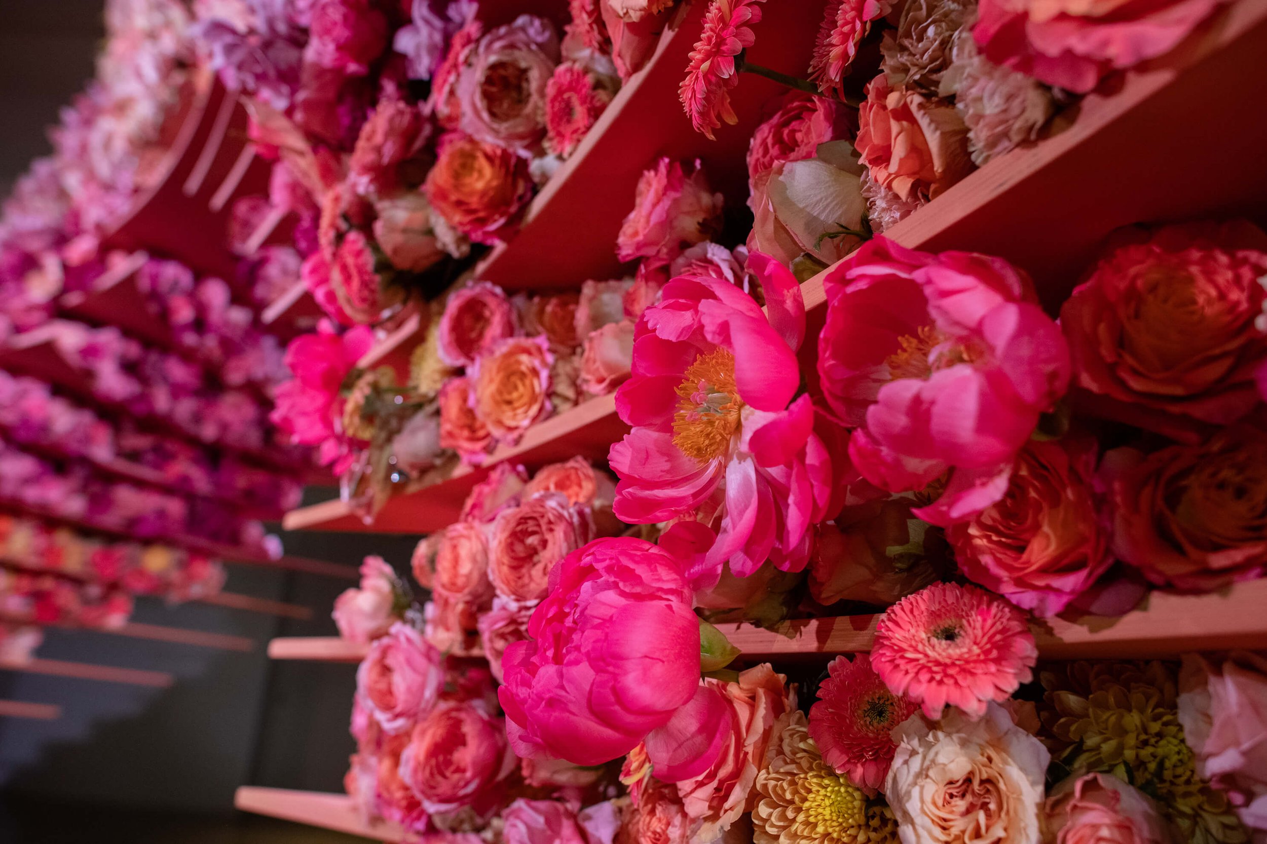 Close-up of fresh-cut flowers, varying in size and texture, in an ombre palette inspired by the desert: terra cotta, orange, sand, pink, and blush.