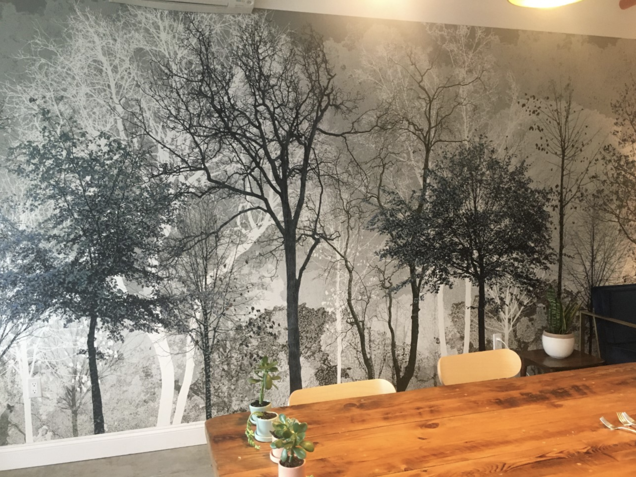 Eric personally installed the appropriately themed wall art. There were also a lot of - get this - air plants!