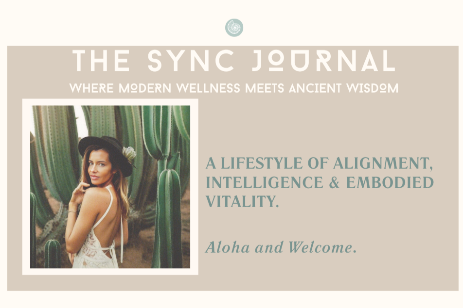 the sync journal