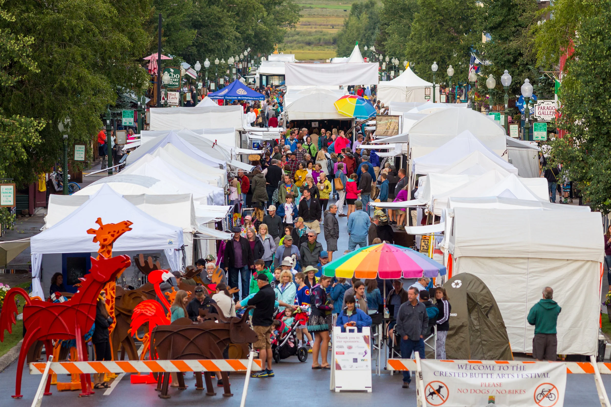 2016 Festival Photo.jpg