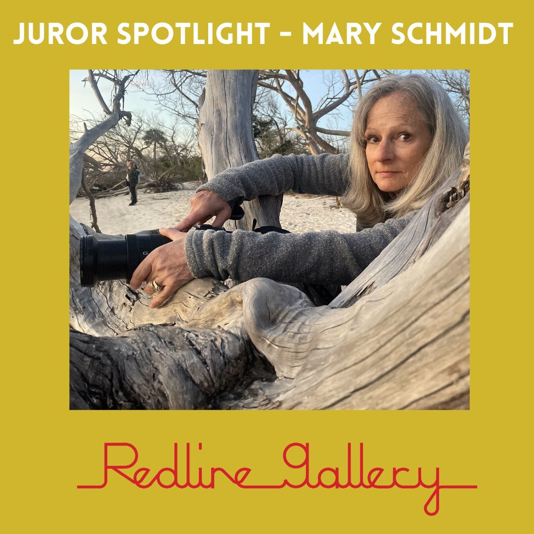 Since 2010 Mary Schmidt has been pursuing fine art wildlife and landscape photography in the environs surrounding Crested Butte.  She is principal gallerist of @redlinegallerycb. 
.
.
.
.
.
.
@mary_schmidt_photography #fineartphotography #landscapeph