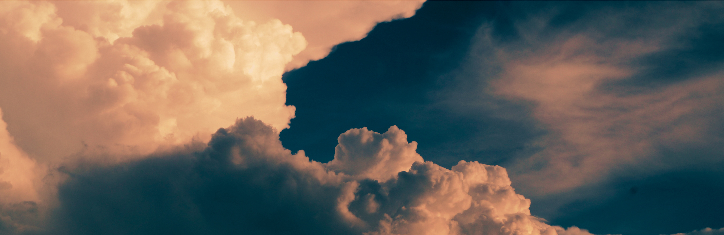 Web Banner - SHOP(1).png