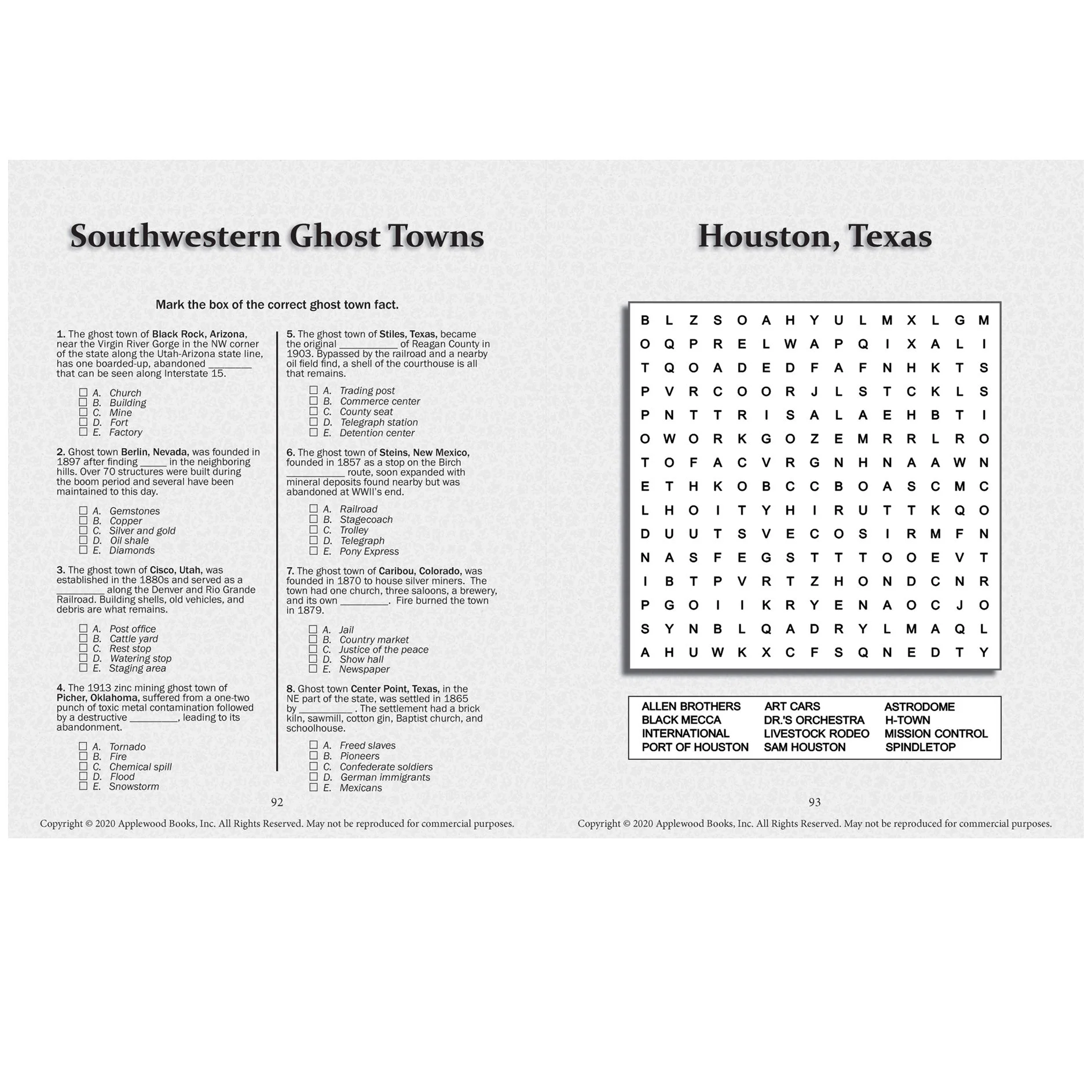 Great American Road Trip Puzzle Book* - Applewood Books.jpg
