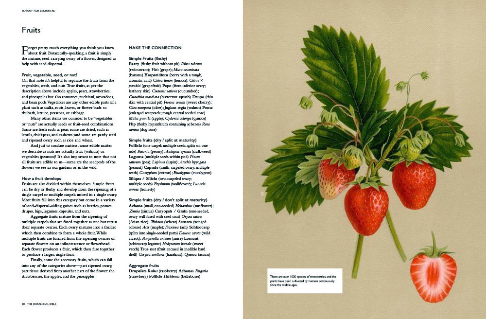 Botanical Bible**.jpg