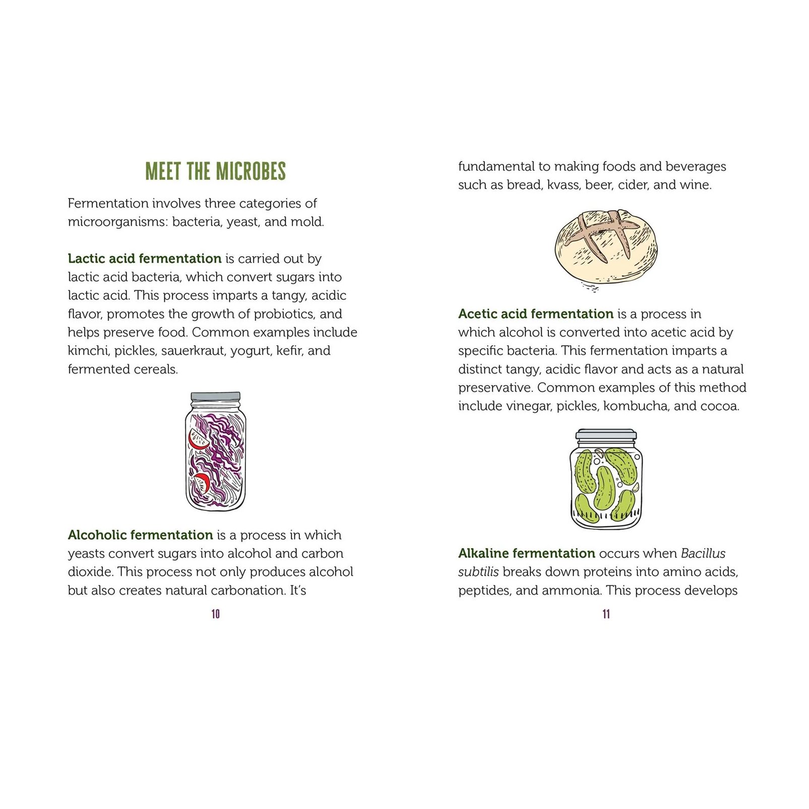 The Little Book of Fermented Foods**.jpg