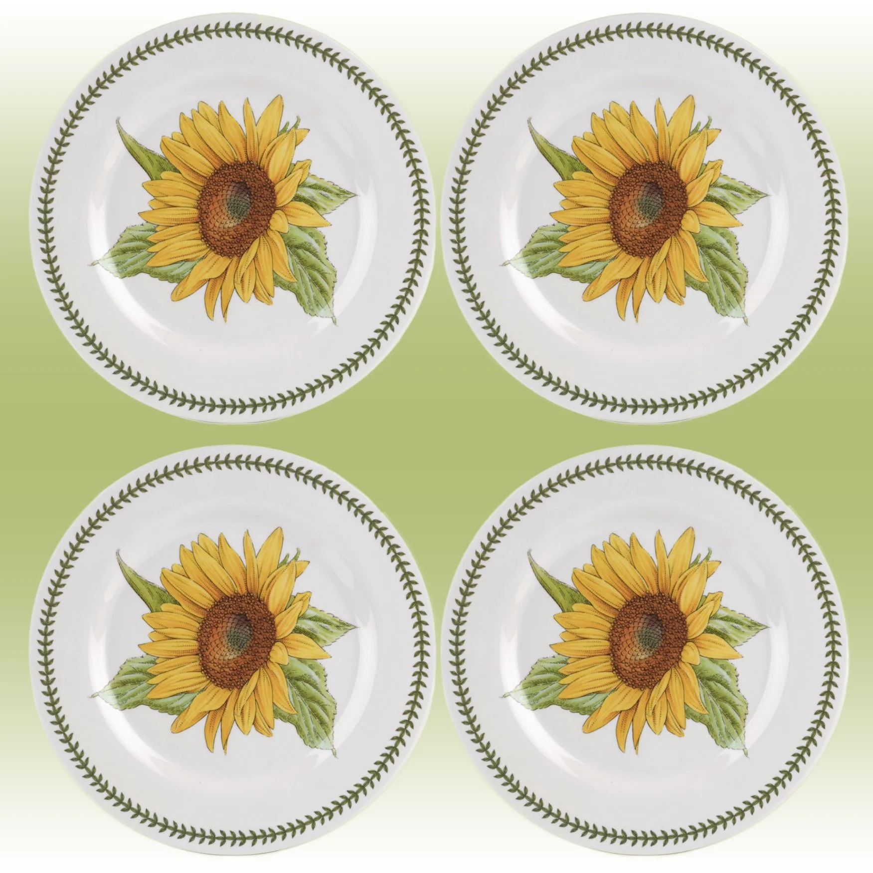 Botanic Garden Melamine Set of 4 Dinner Plates.jpg