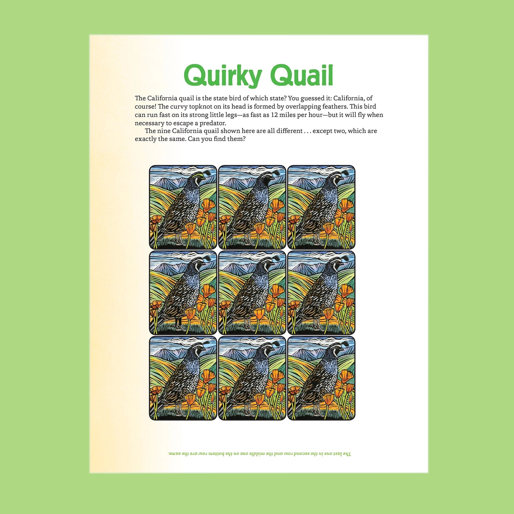 Molly Hashimoto’S Art & Nature Activity Book - Inside Page 1.jpg