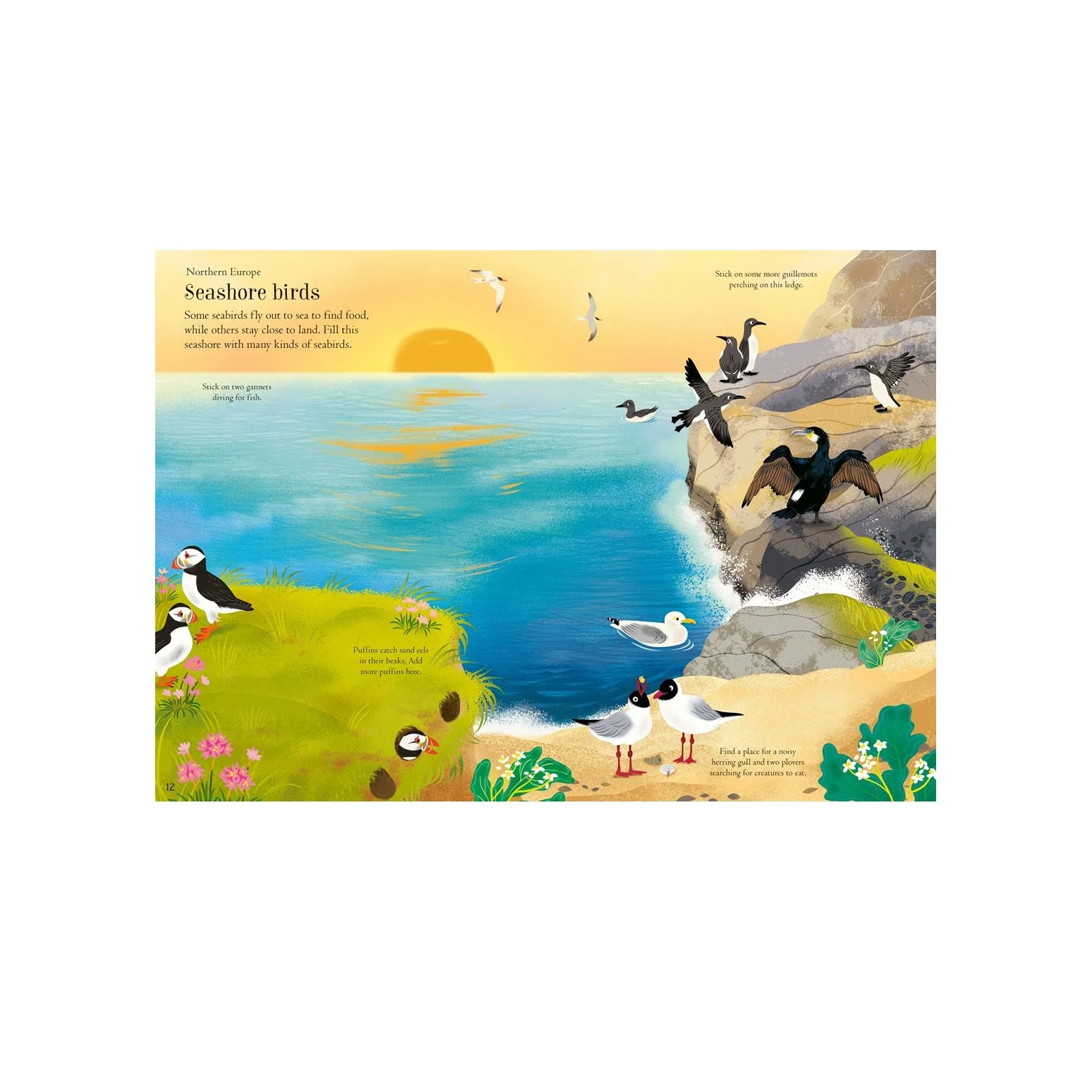 Little First Stickers Birds*.jpg