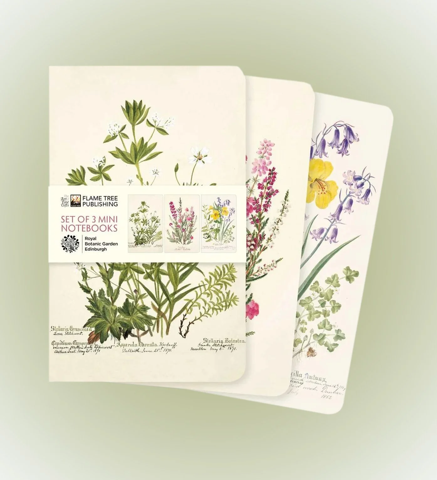 Royal Botanic Garden Edinburgh Set of 3 Mini Notebooks.jpg