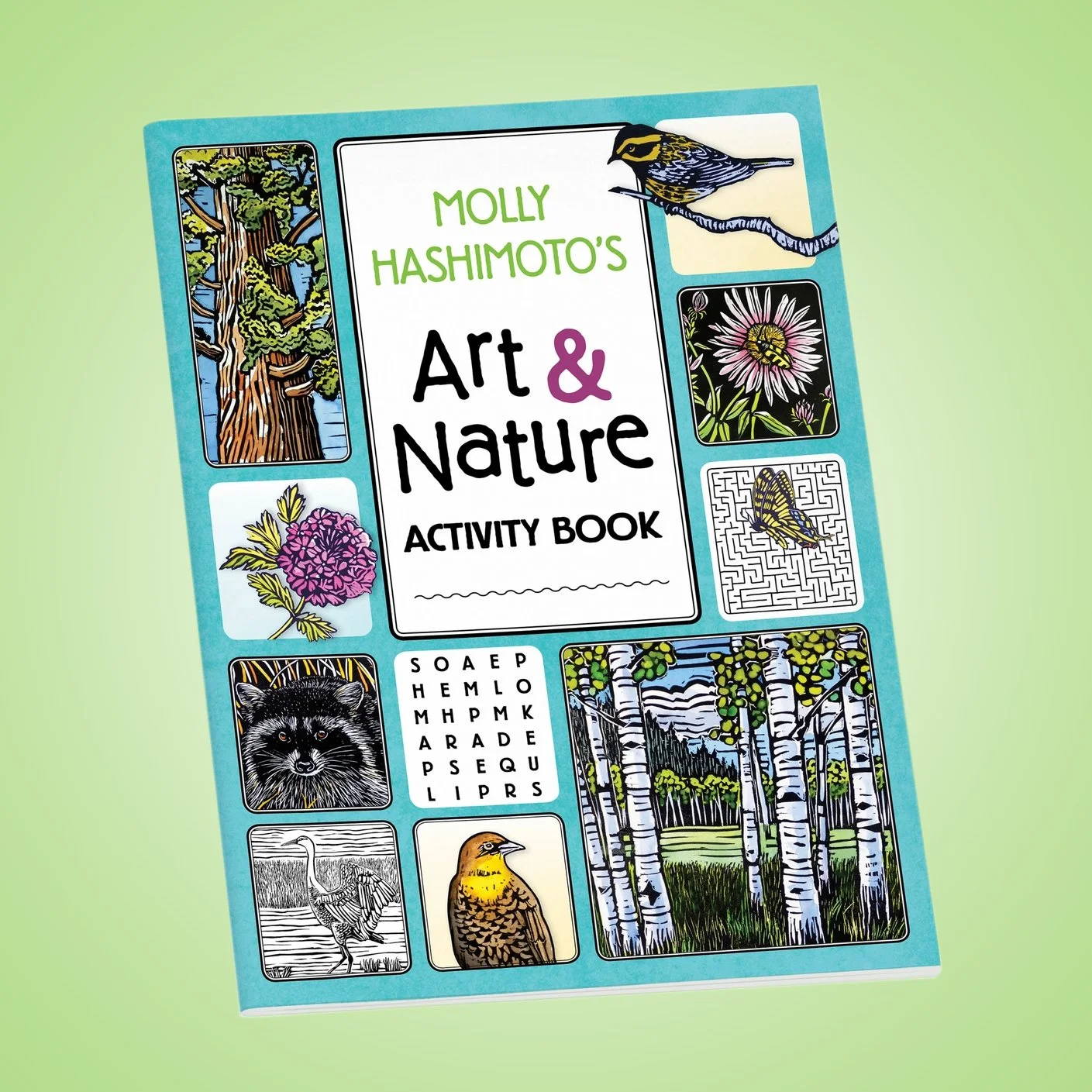 Molly Hashimoto’S Art & Nature Activity Book - Pomegranate.jpg