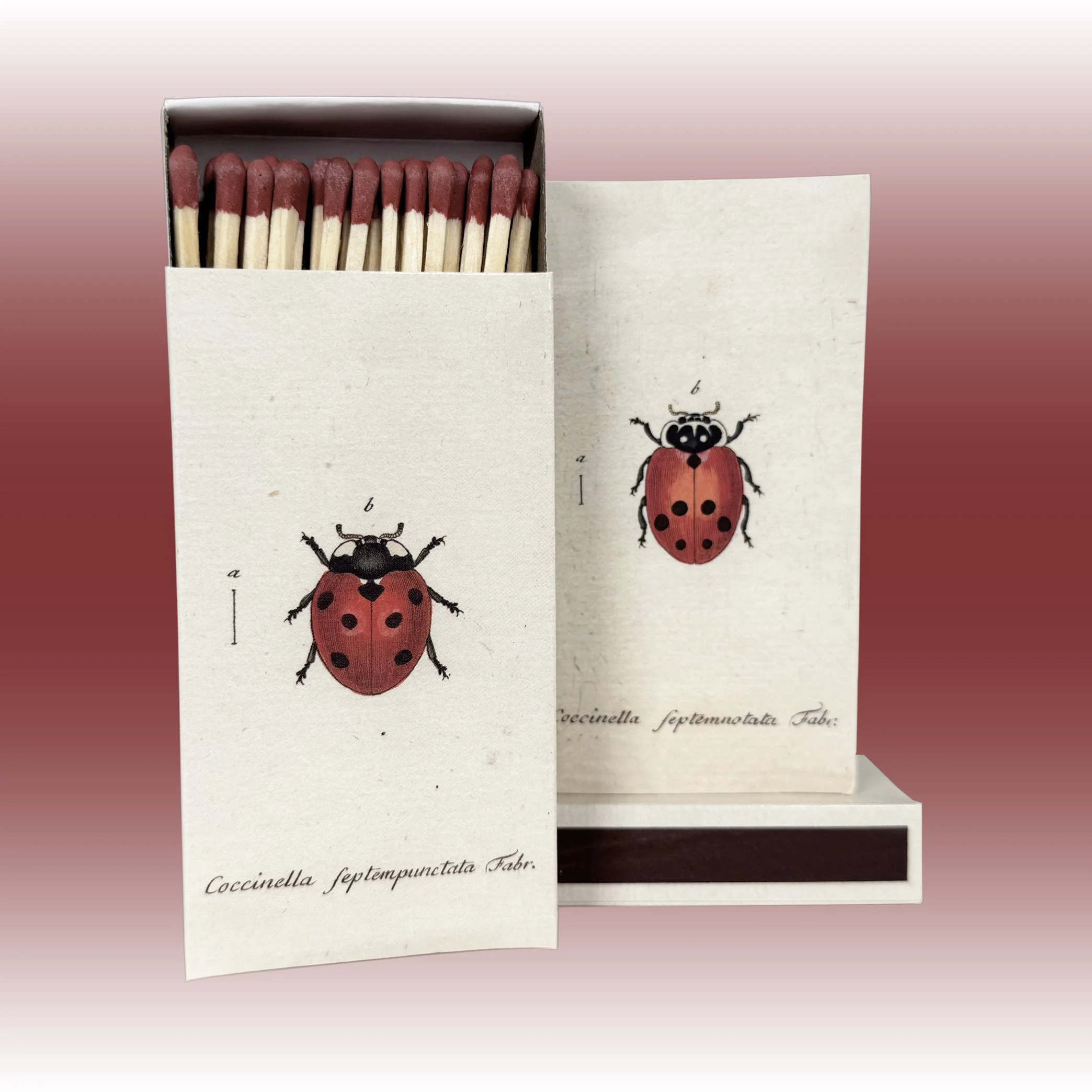 Safety Matches ~ Red Lady Bug