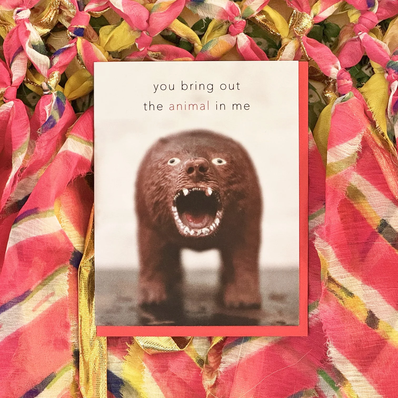 Animal Bear Card
