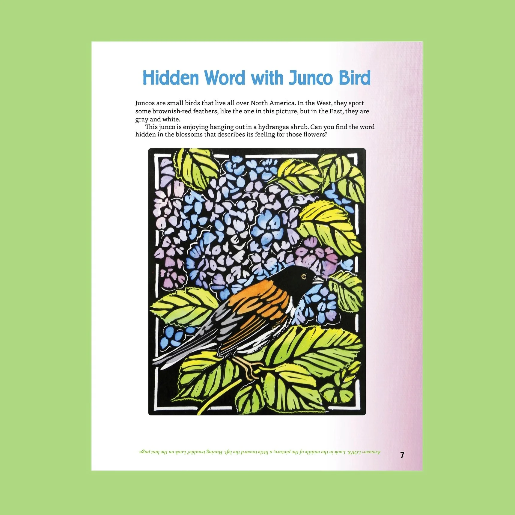 Molly Hashimoto’S Art & Nature Activity Book - Inside Page 2.jpg