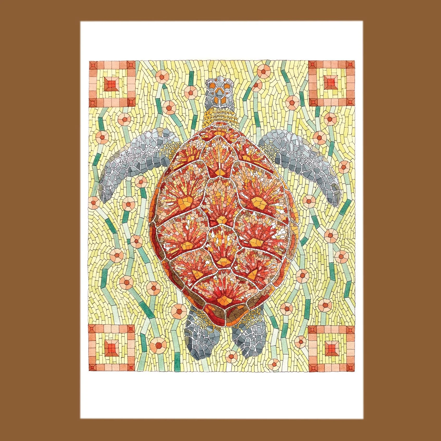 David Cohen: Sea Turtle Notecard
