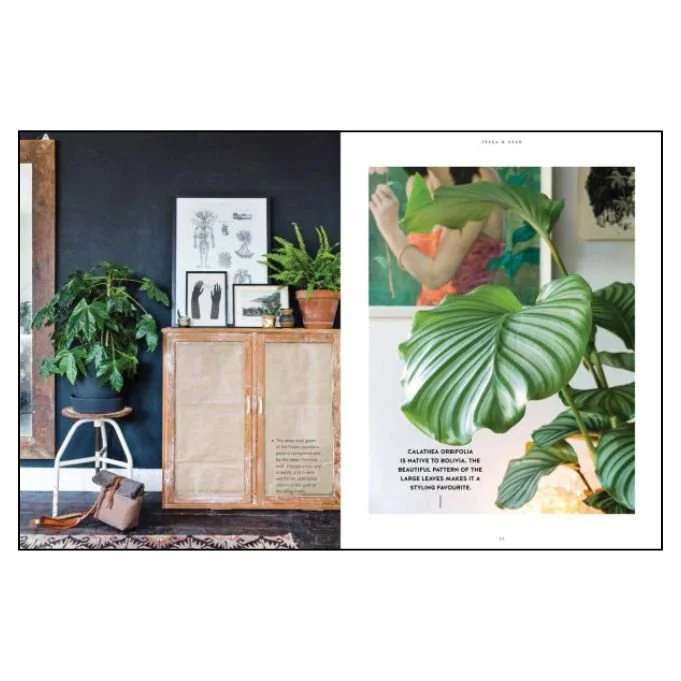 Urban Jungle Living and Styling with Plants**.jpg