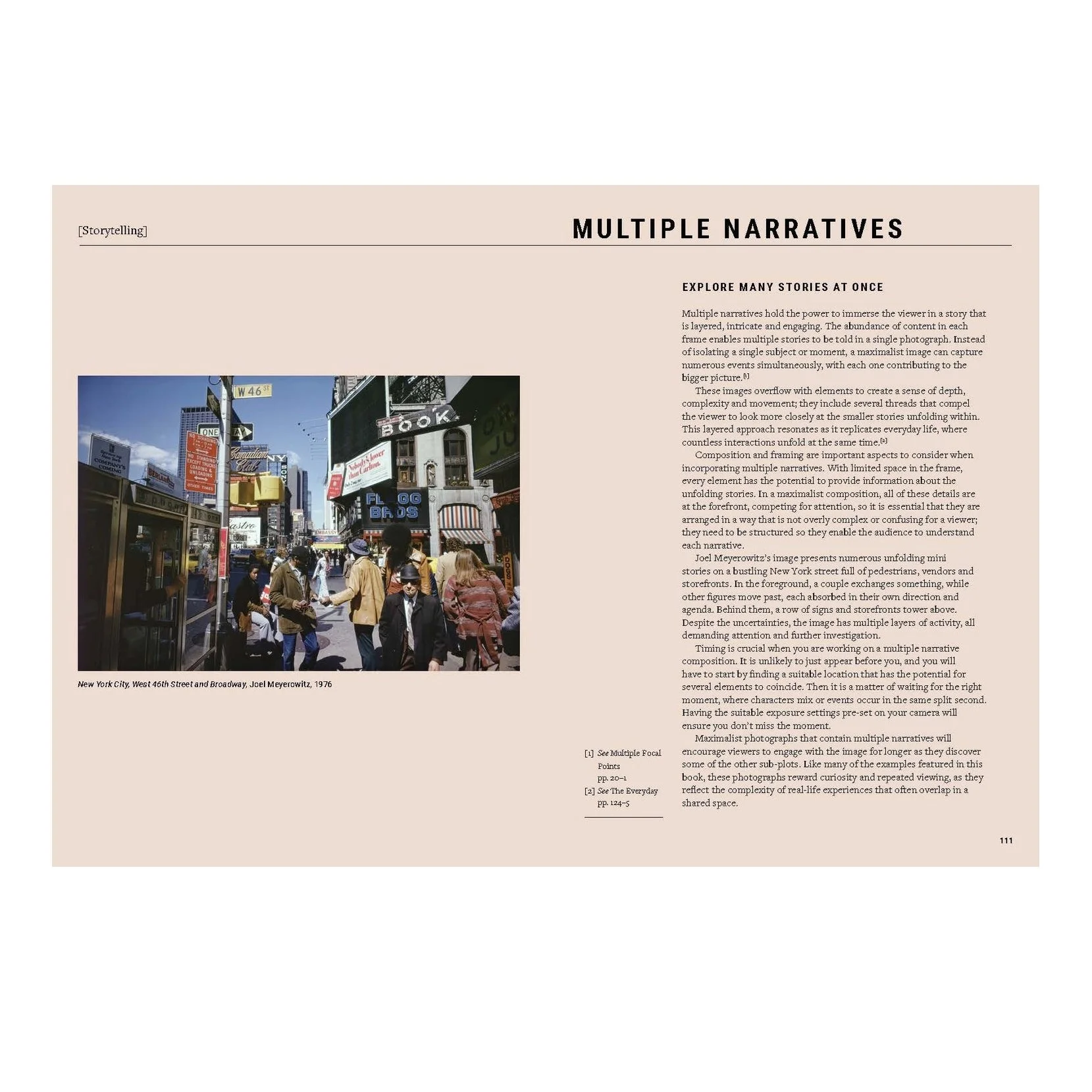 The Maximalist Photographer Inside**.jpg