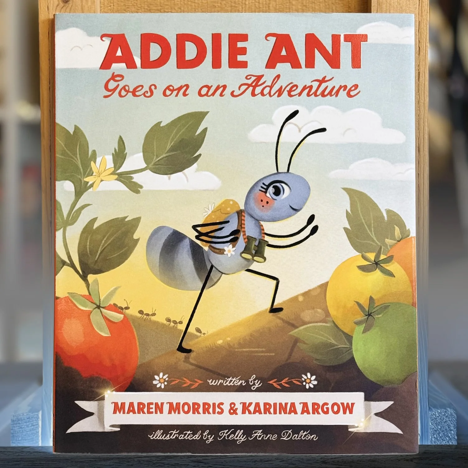 IMG_1397 Addie Aunt Goes on an Adventure - Chronicle Books.jpg