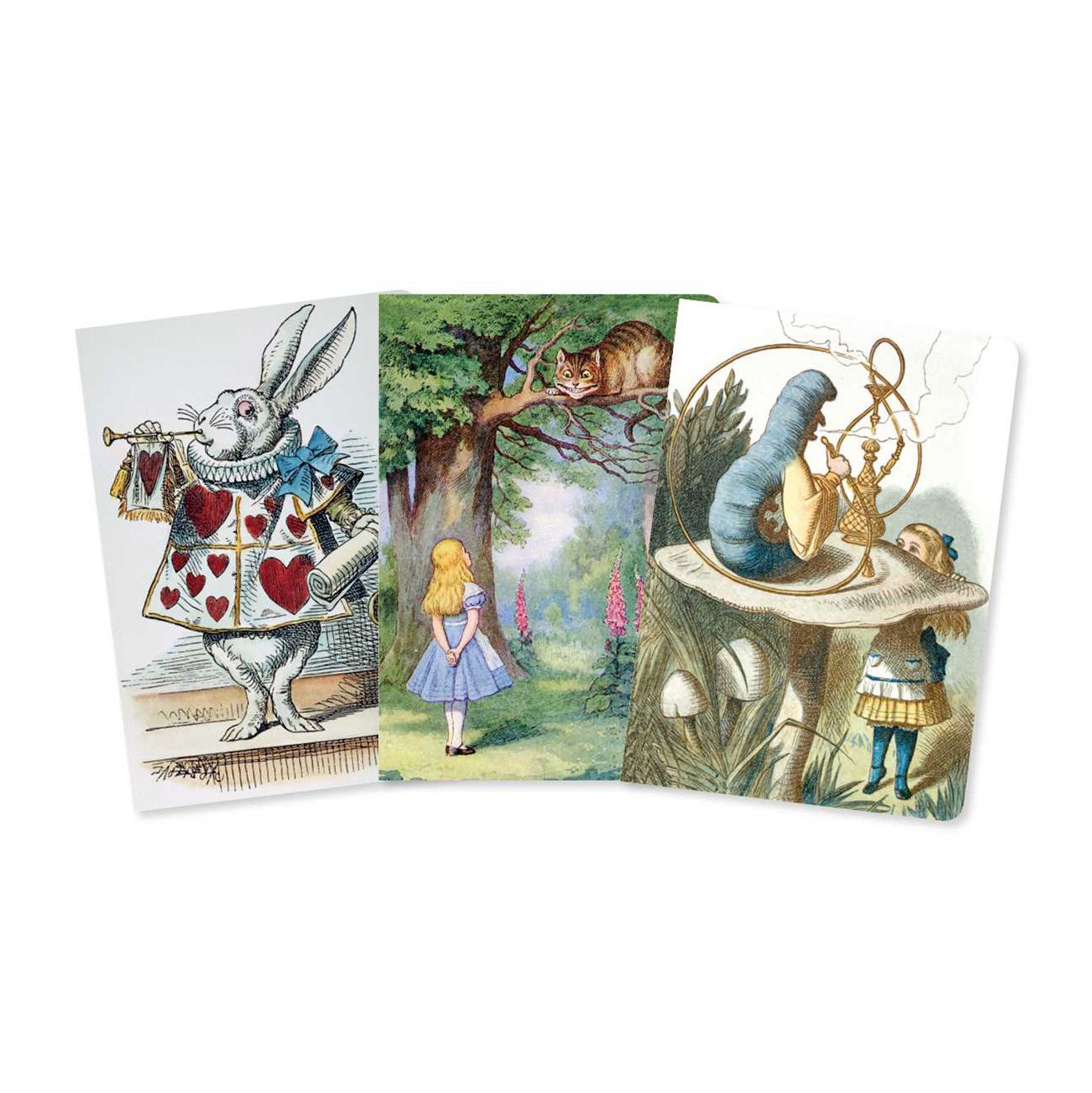 Alice's Adventures in Wonderland Set of 3 Mini Notebooks*.jpg