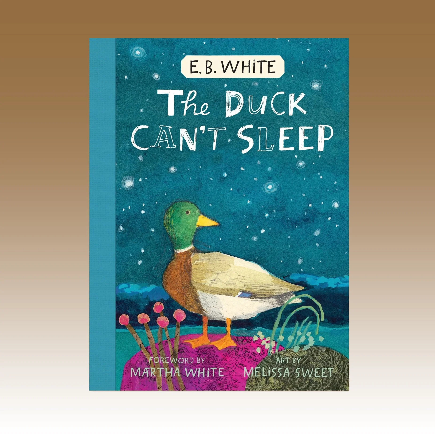 The Duck Can't Sleep.jpg