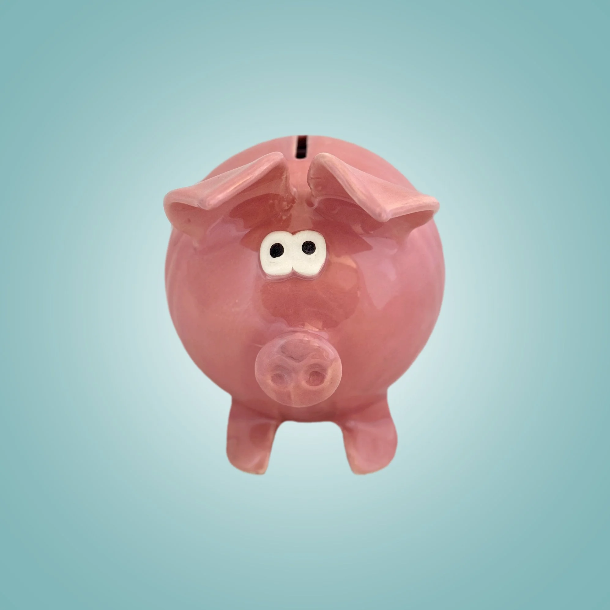 pink piggy bank.jpg