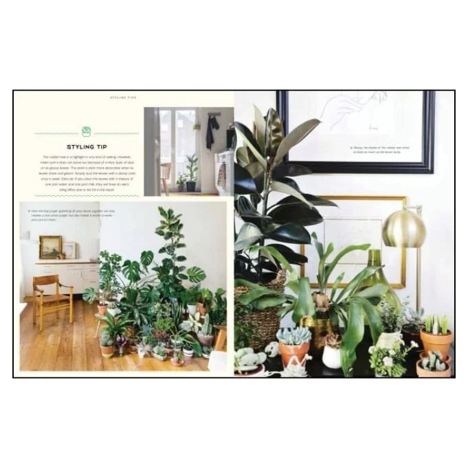 Urban Jungle Living and Styling with Plants*.jpg