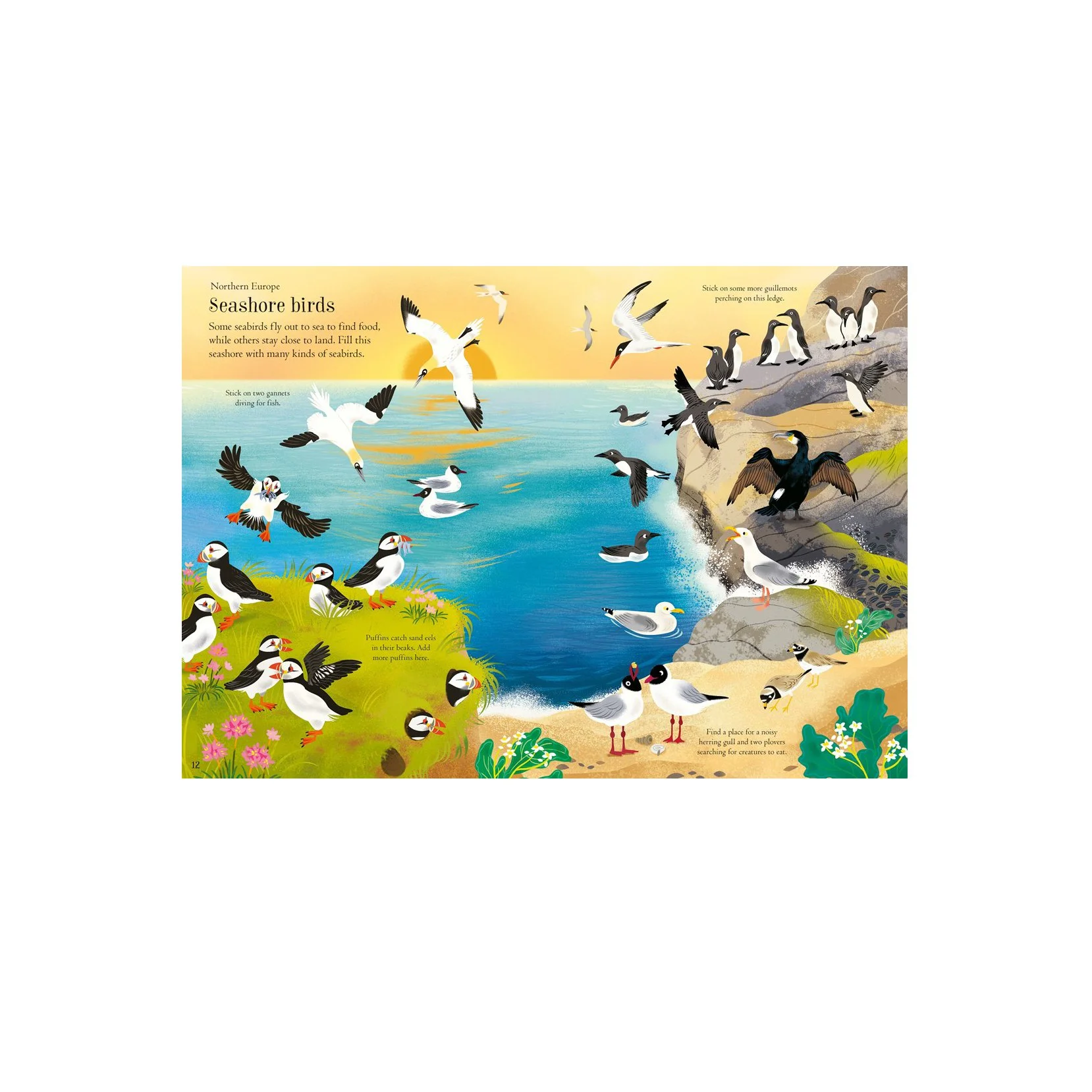 Little First Stickers Birds.jpg