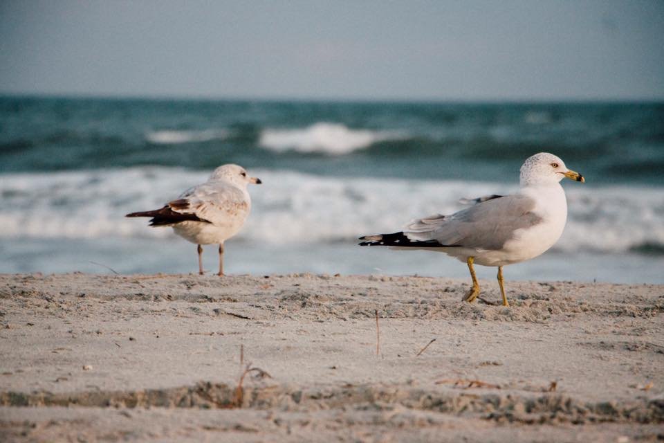 Myrtle Beach, SC