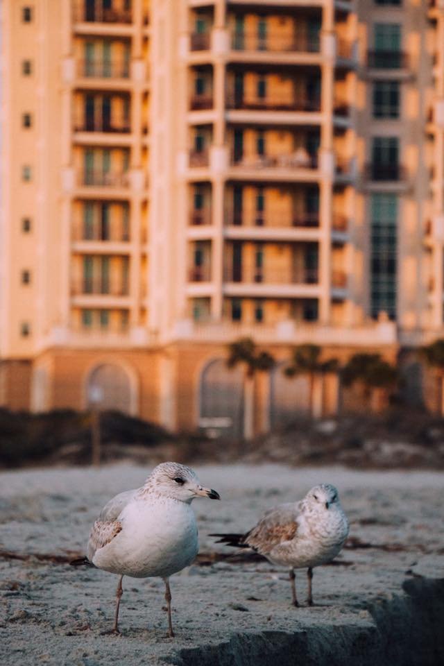 Myrtle Beach, SC