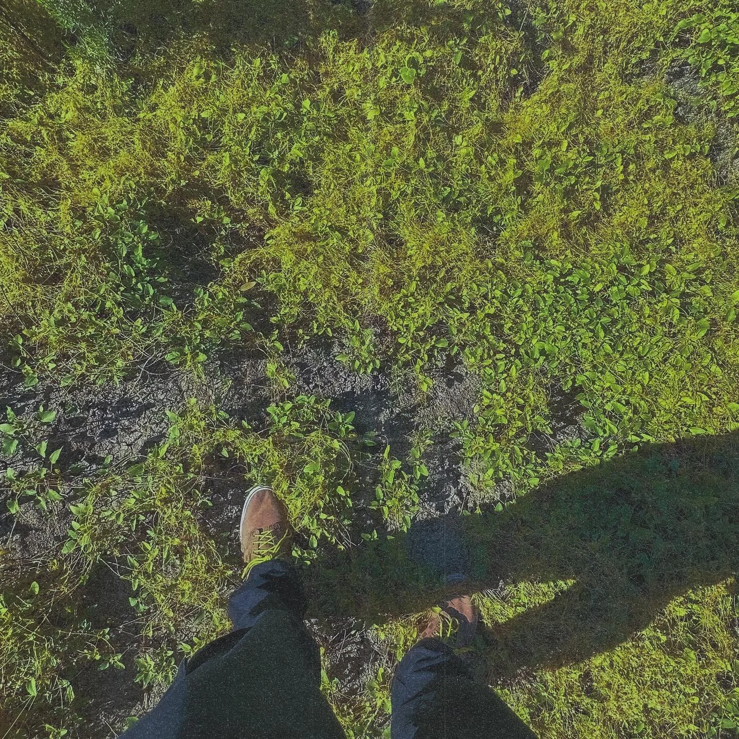 Jadon Woods - DBNO 
Release Date 2025-10-03 
#dubstep #edm #mmxvac