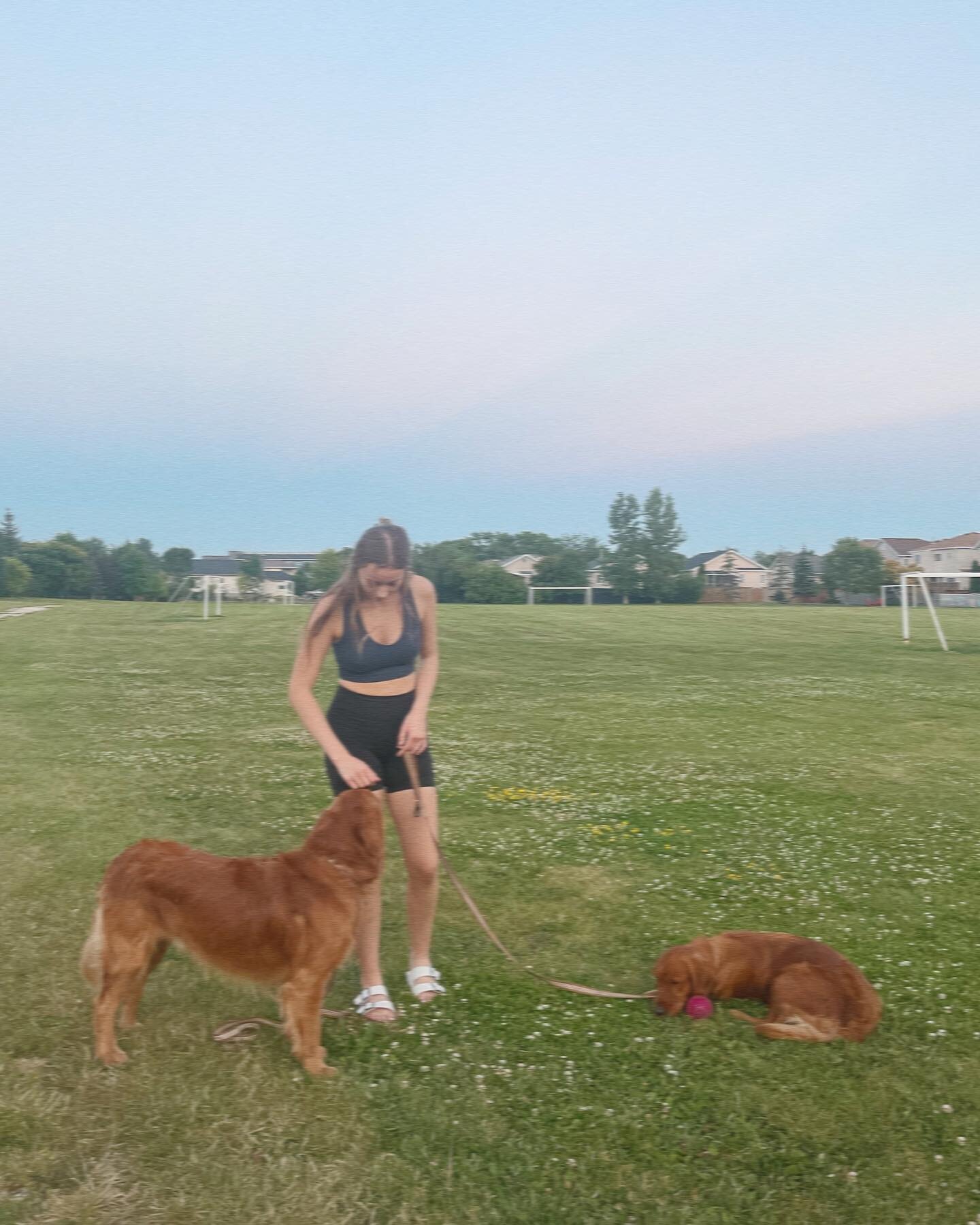 meet Danika 👋🏼 she is joining our team to help us stay on top of admin things 💻💌 I have known her family since Molly &amp; Charlie&rsquo;s first litter 🐾 

Her fam has always had a very special place in my heart and I have loved getting to know 