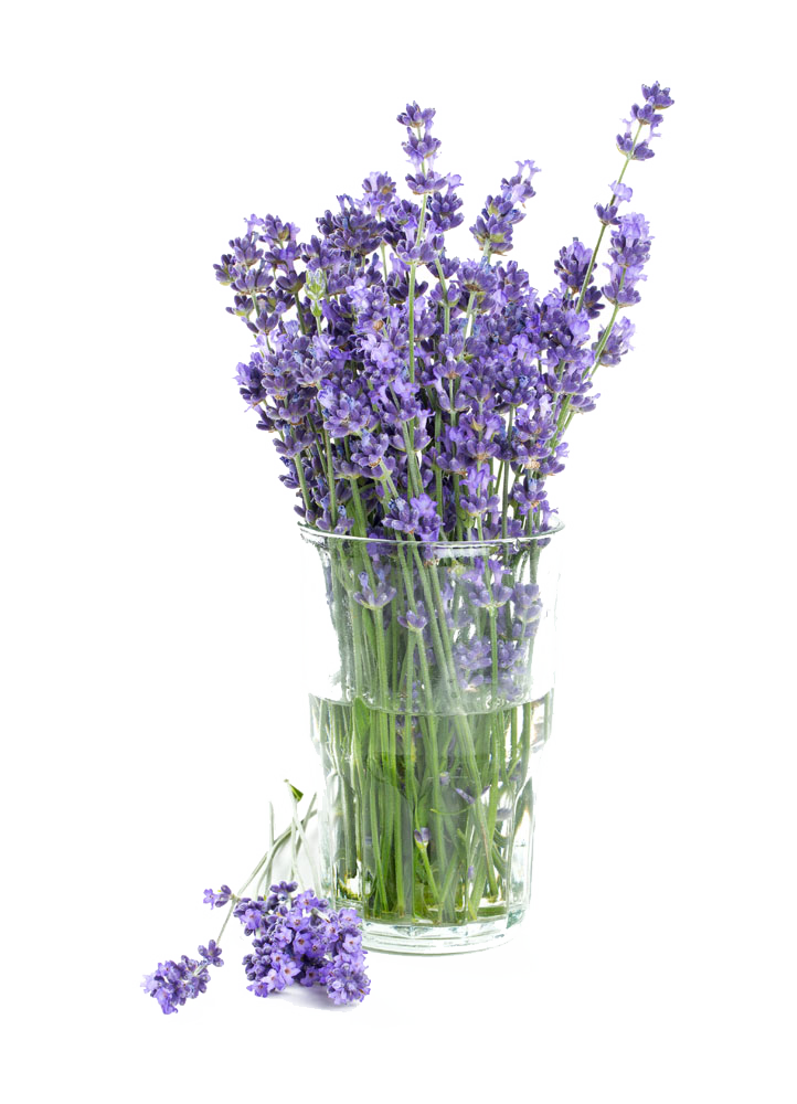 favpng_lavender-bath-bomb-shampoo-bathing-bath-salts.png