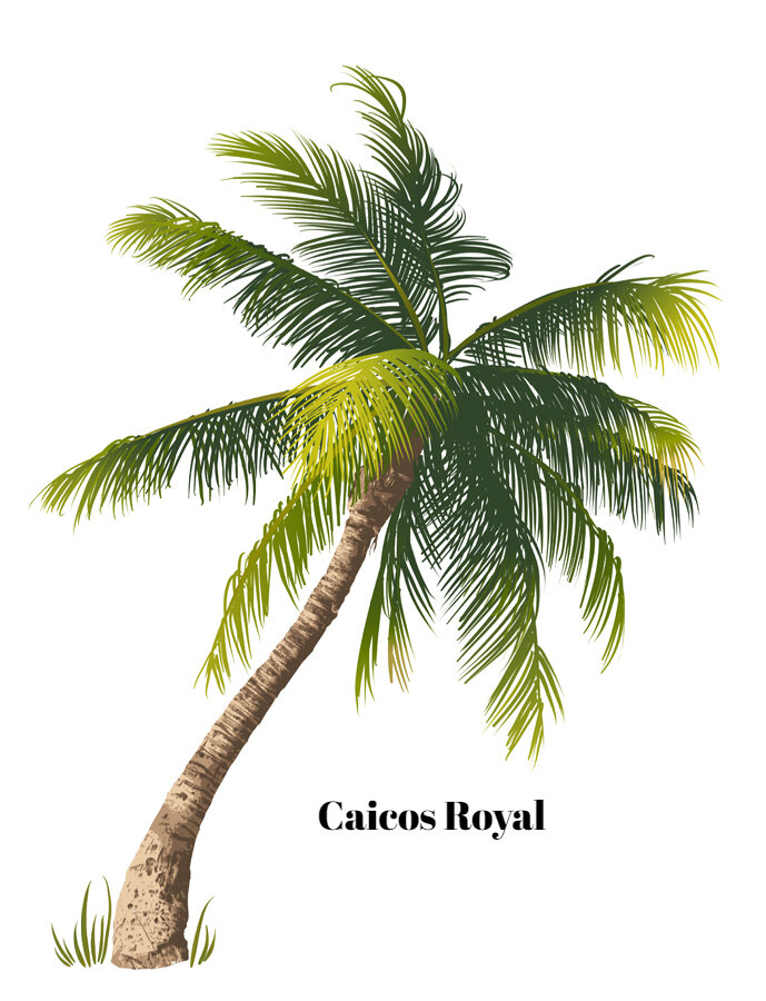 Caicos Royal Suites