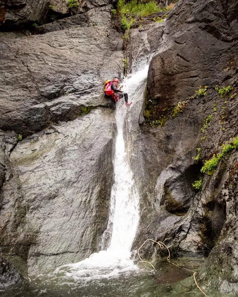 94357B6E-A666-4B3F-AEDC-FEAFB980D519