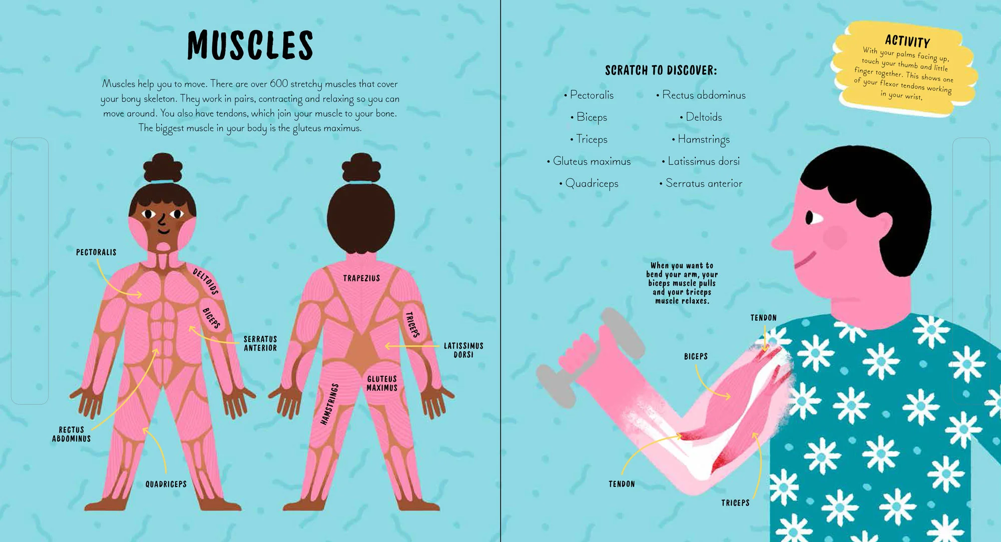 Scratch-and-Discover-Human-Body-(2)-6.jpg