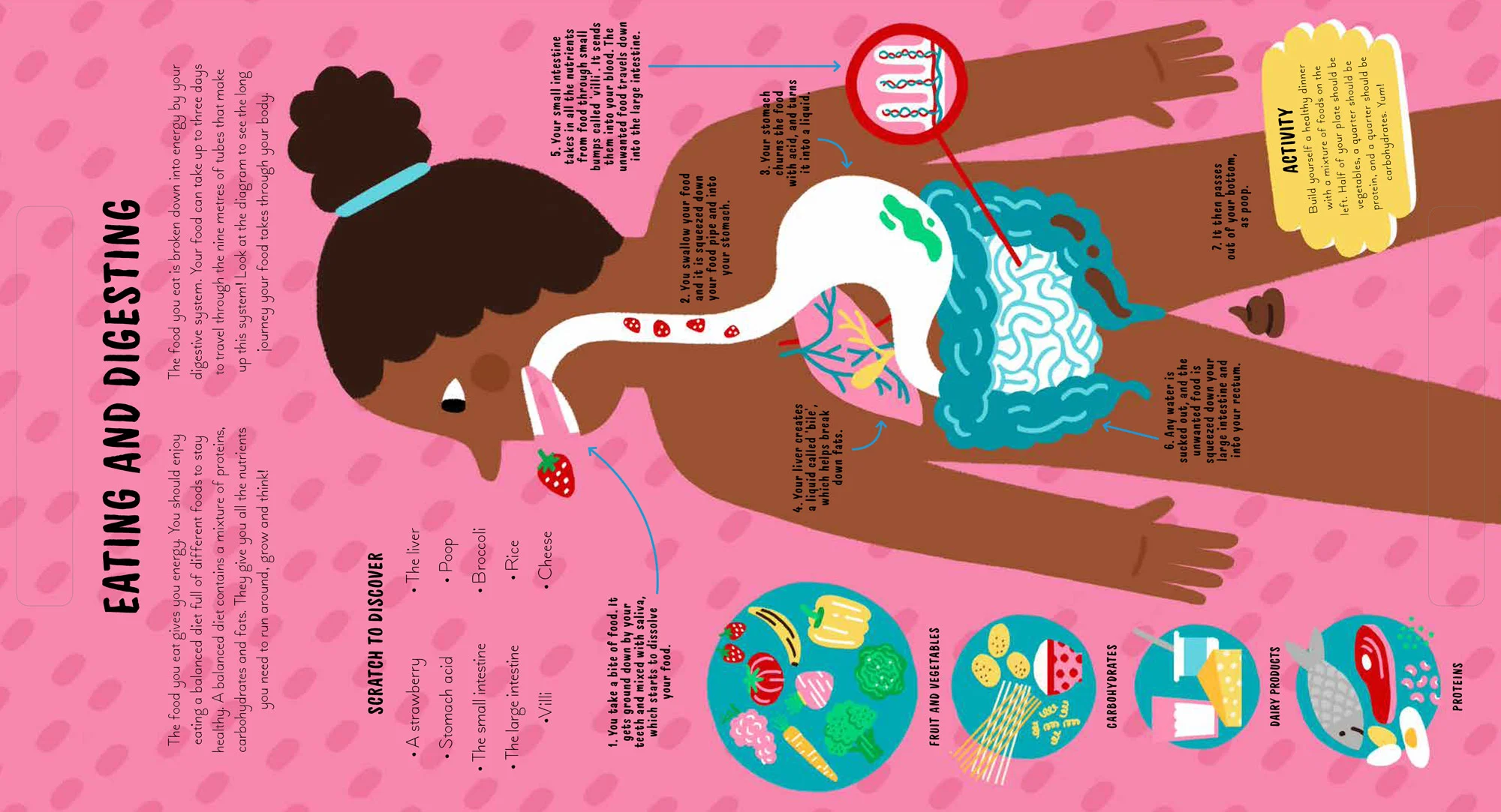 Scratch-and-Discover-Human-Body-(2)-10.jpg