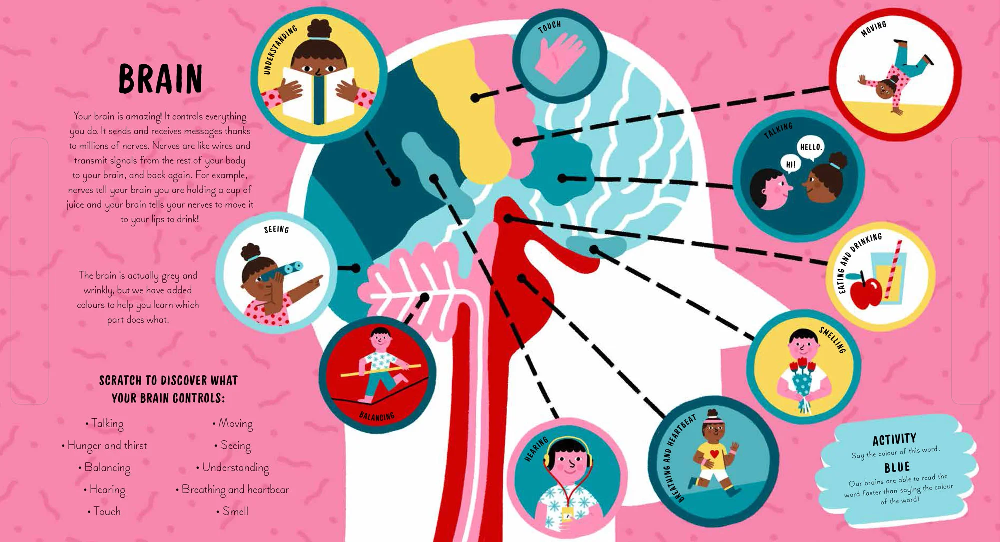 Scratch-and-Discover-Human-Body-(2)-14.jpg