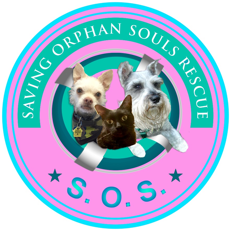 Saving Orphan Souls Rescue