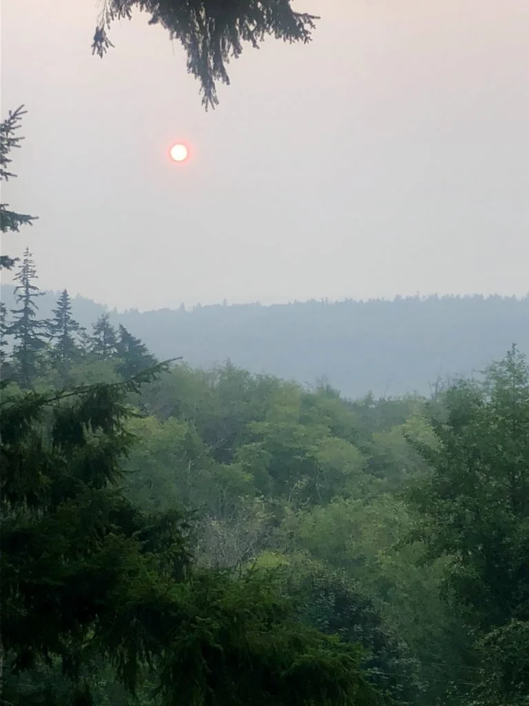 fiery-sun-768x1024.jpg