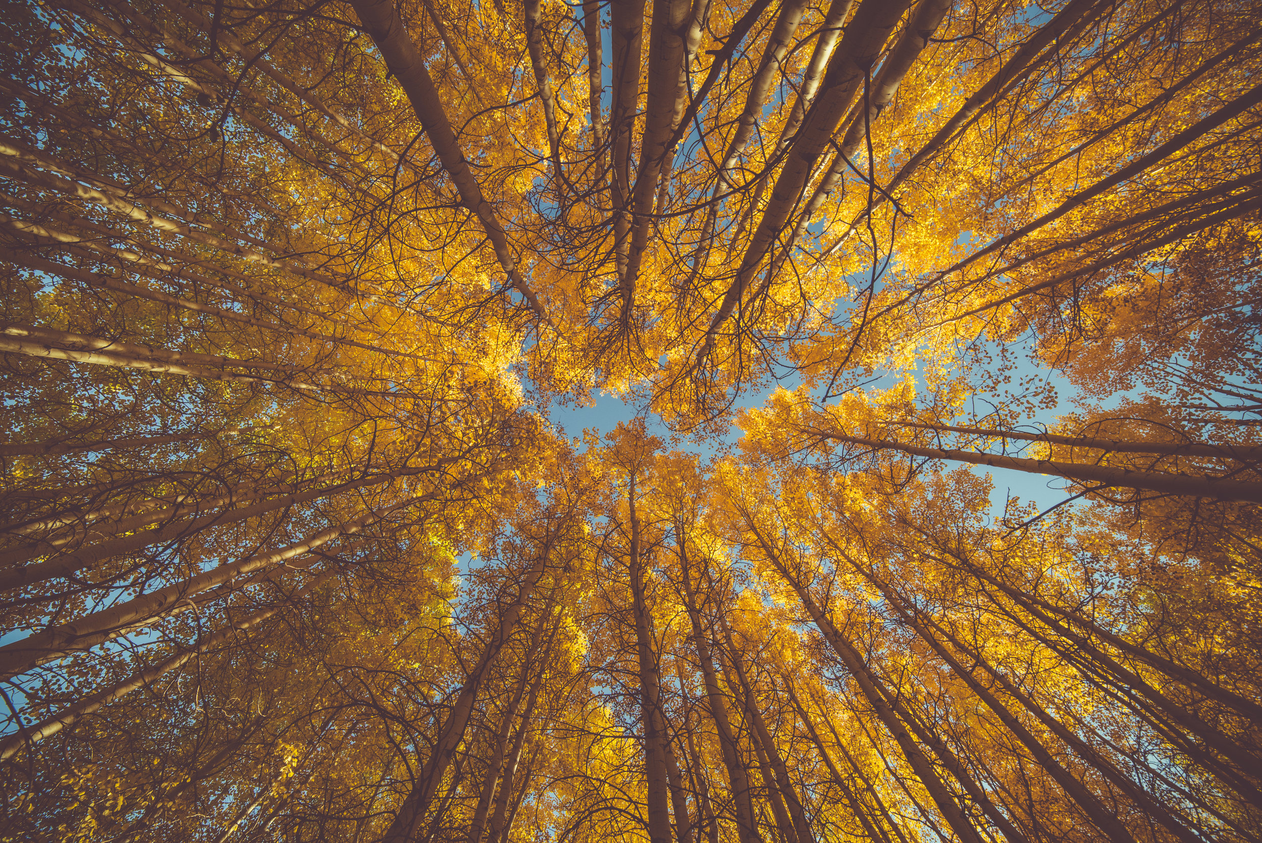 Preparing for the Autumn months with Self Storage Canary Wharf