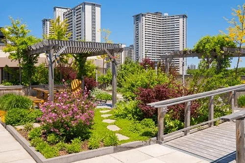 Storage Containers in East London can help transform your Rooftop Garden