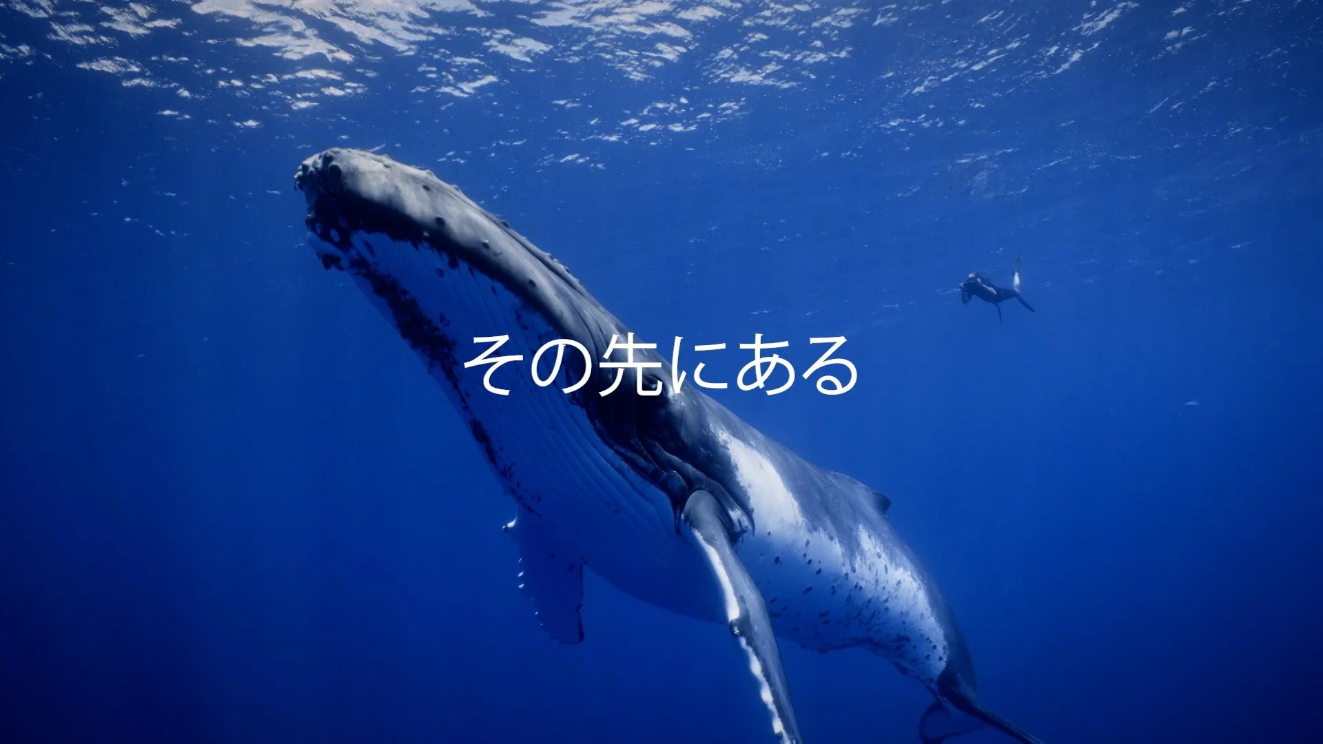 220925_Disney_Japan_NatGeo_RC09