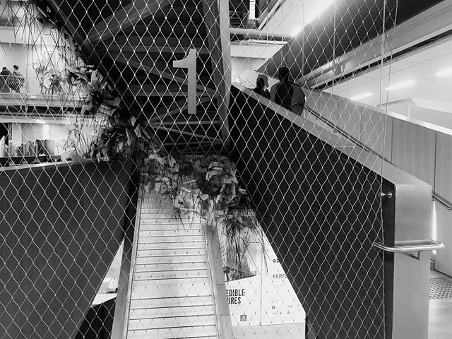 Invasion Installation.
.
.
.
.
.
.
.
.
#architecture #travel #art #sky #design #photography #photooftheday #love #city #interiordesign #instagood #nature #bnw #architecturephotography #ig #building #beautiful #landscape #picoftheday #photo #archilove