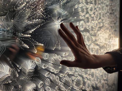 Contact Art Exhibit Light Patterns.JPG