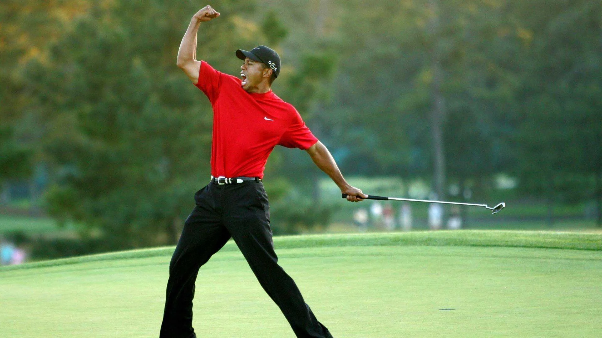 tiger.jpg