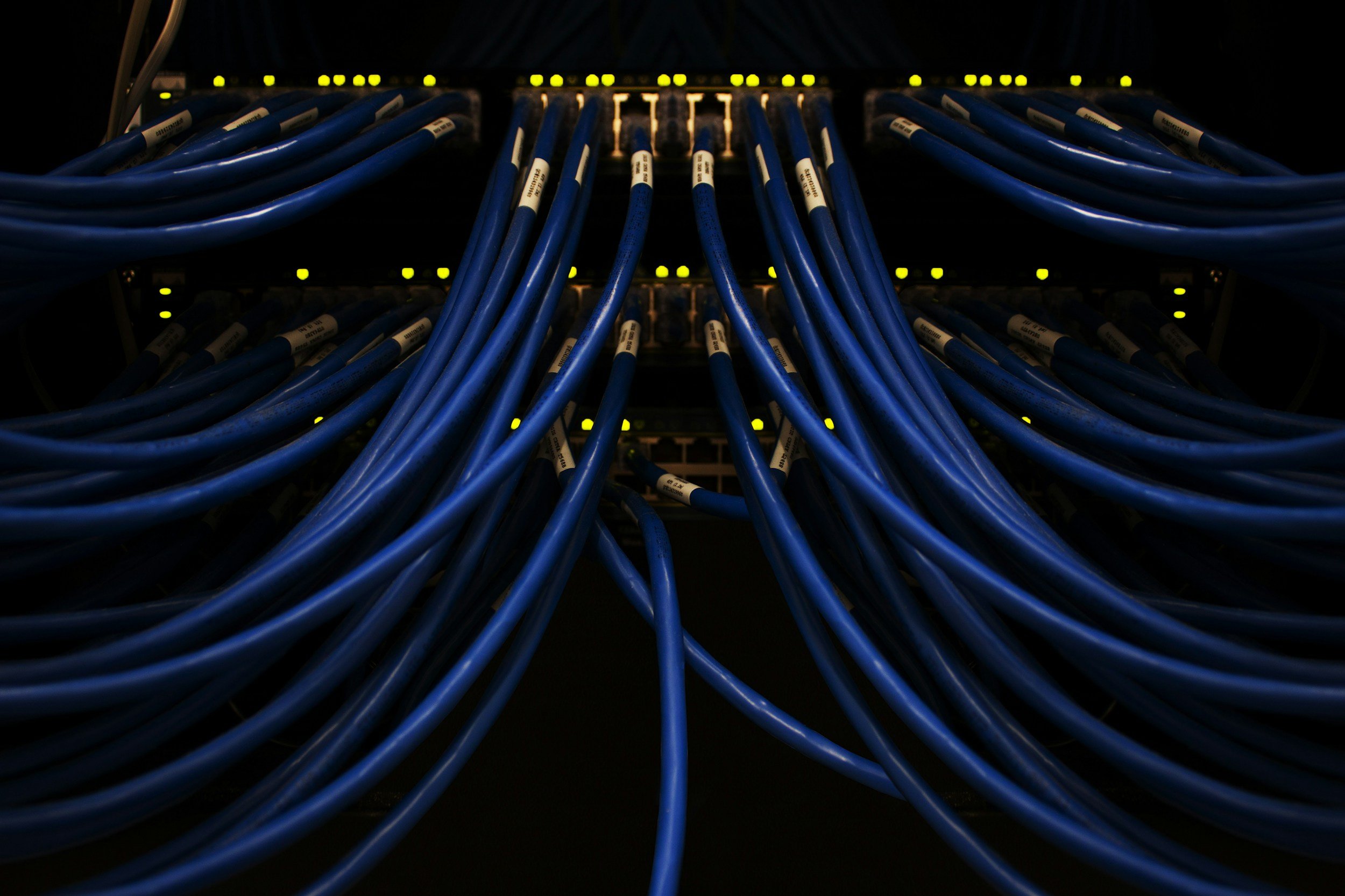 A close-up view of multiple blue Ethernet cables plugged into a network switch with yellow indicator lights.