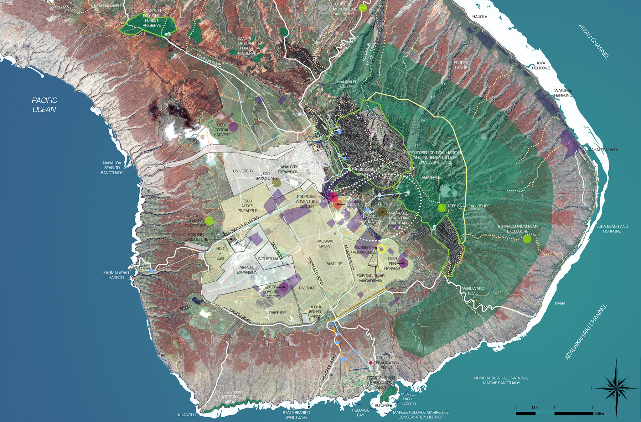 PALAWAI+MAP+8x10+10-31-13.jpg