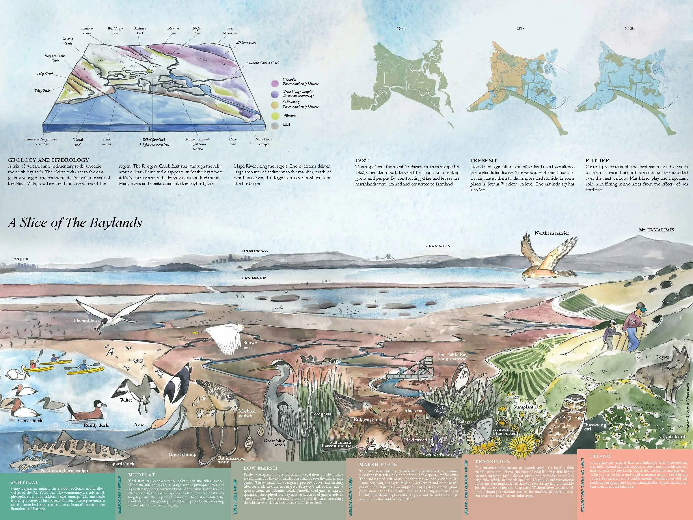 Resilient By Design: Common Ground