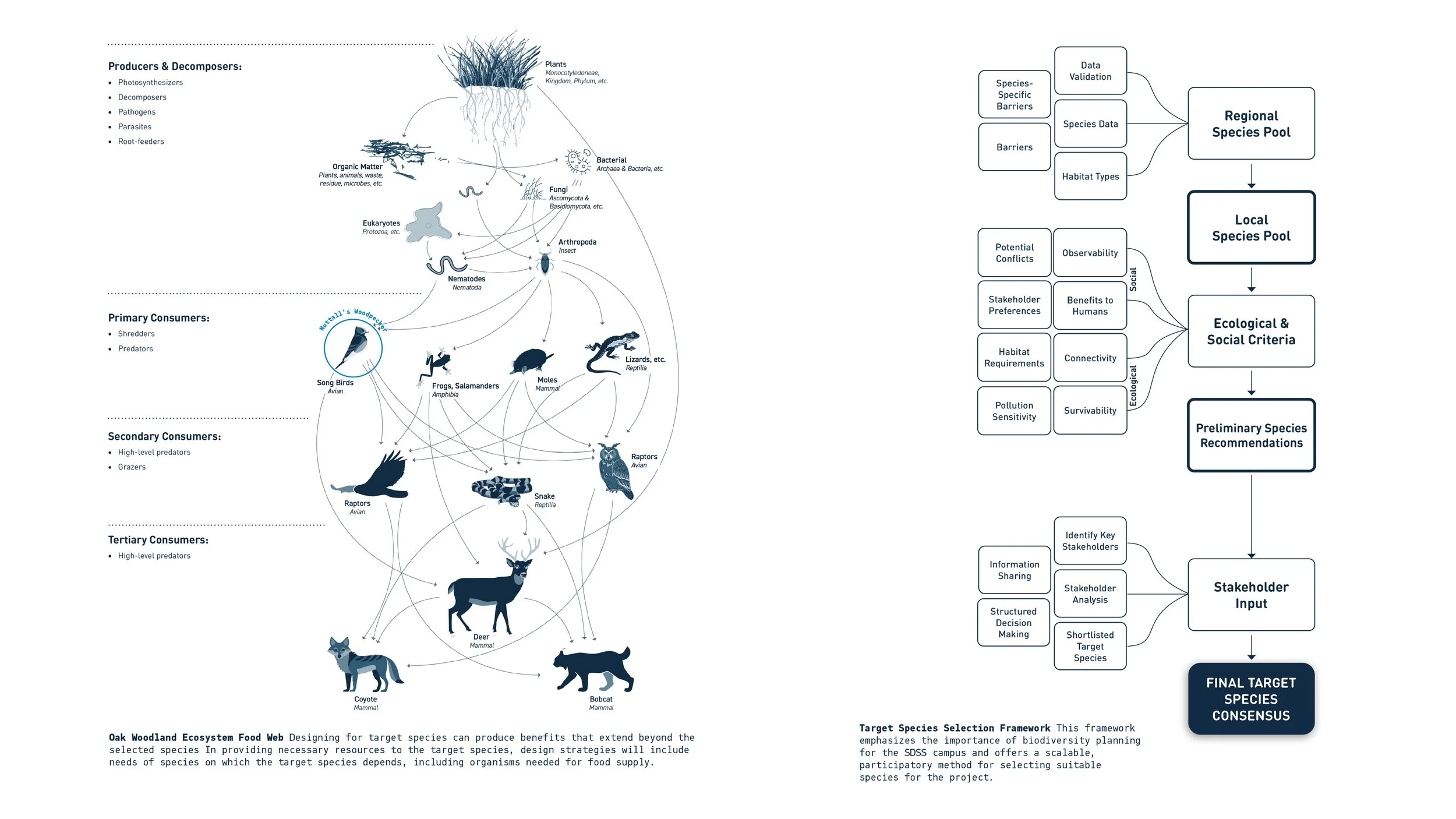 FoodWeb.jpg