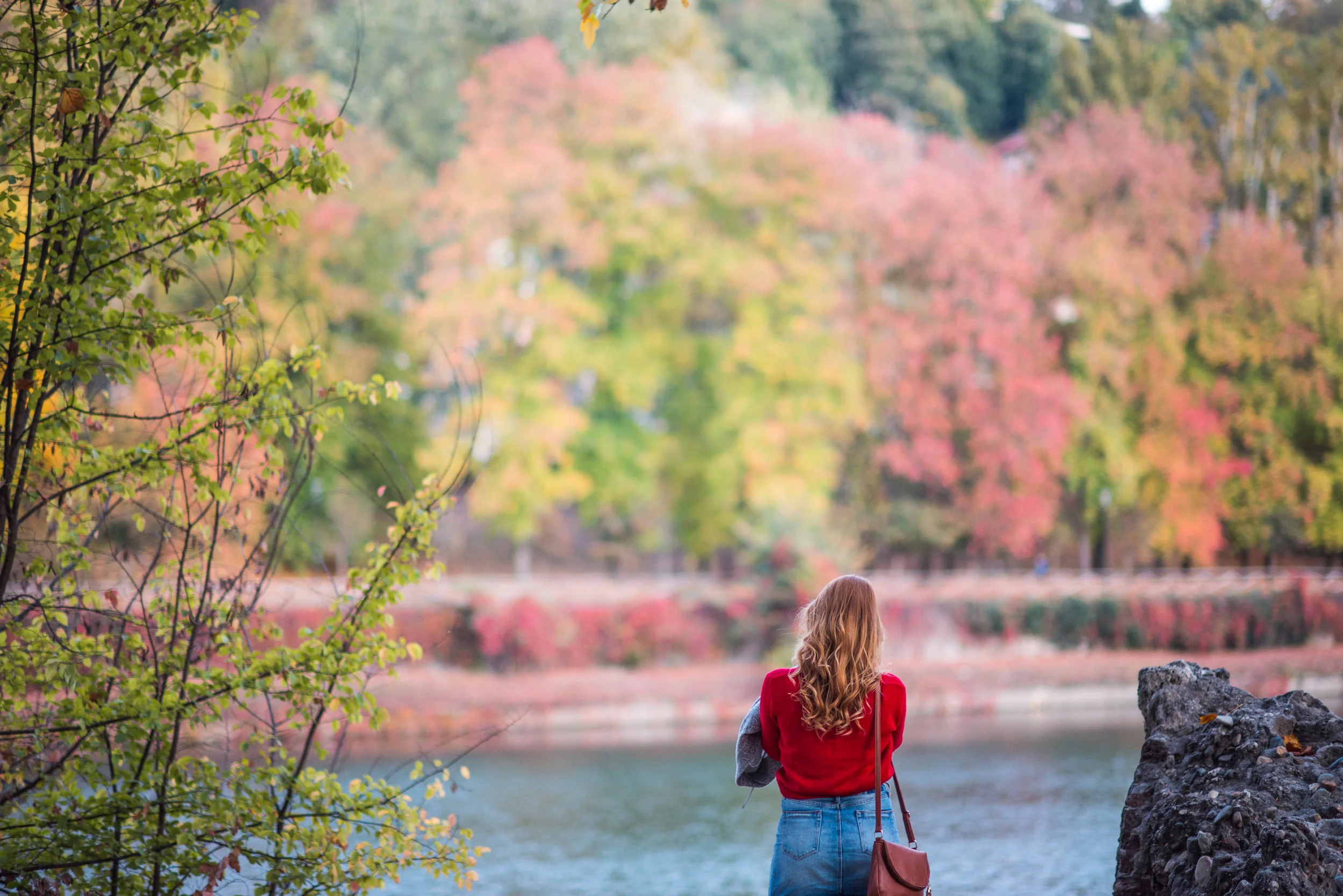 Transient (Copy) (Copy)